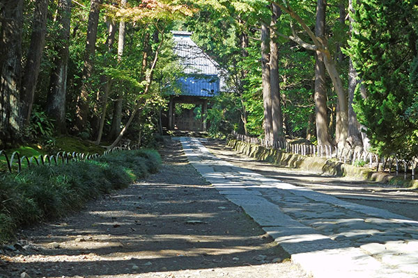 寿福寺