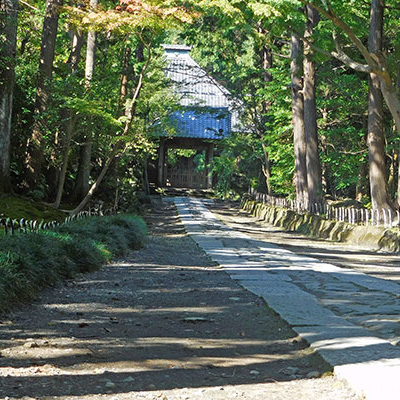 寿福寺